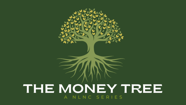 The Money Tree - Week 4 Image